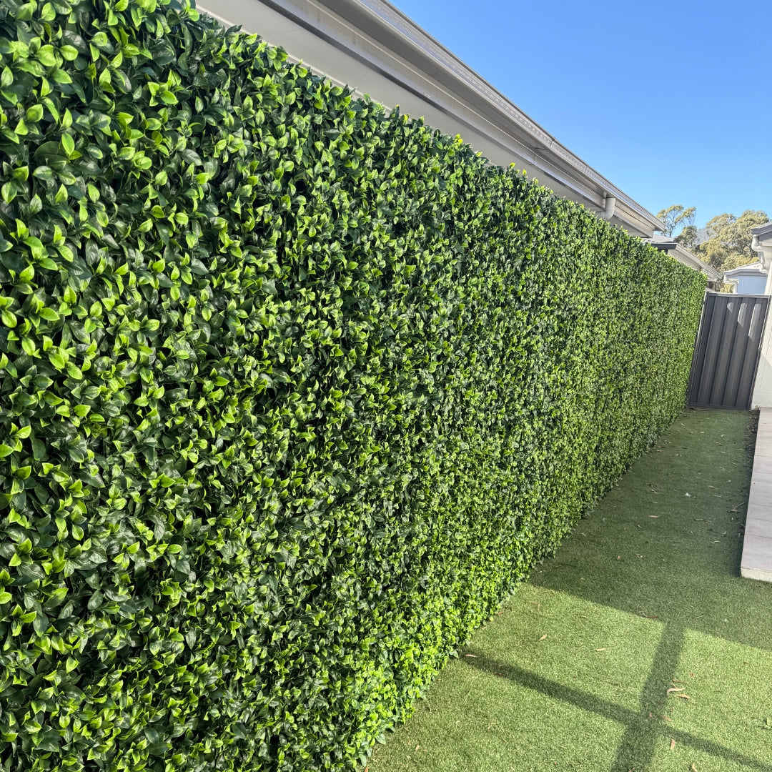 Hedge Style Garden Walls